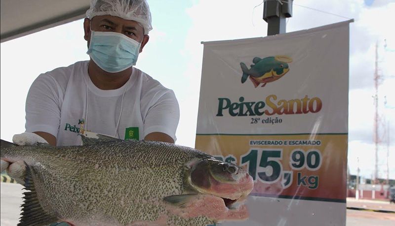 SEMANA SANTA : Não ter Peixe Santo significa a falência da gestão Emanuel Pinheiro na prefeitura