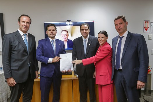Presidente do CFOAB amplia discussão com deputado federal Capitão Alberto Neto  sobre a unificação do PJe