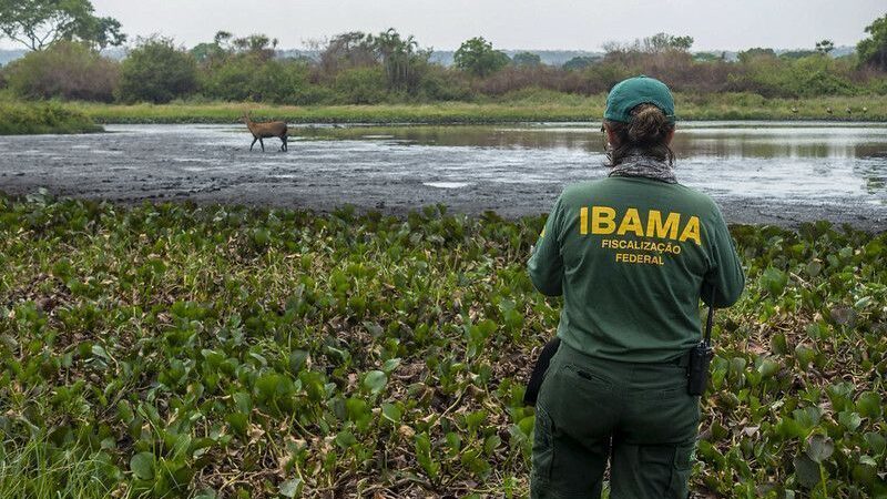 Greve no Ibama paralisa setores estratégicos da economia