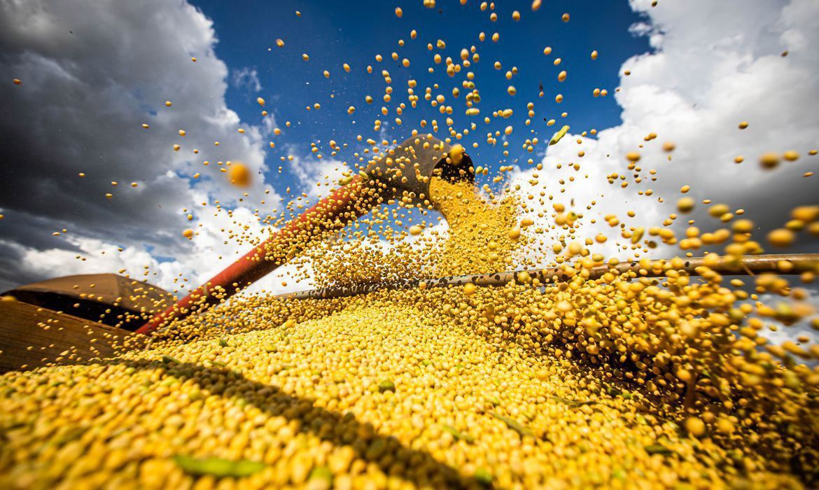 BrasilAgro eleva estimativas para produção da safra 24/25