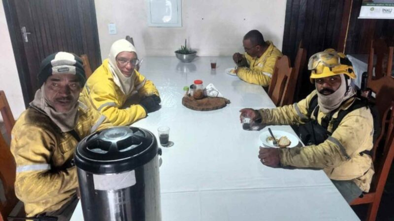 Brigadistas se deparam com onça-pintada durante descanso noturno no Pantanal de Mato Grosso