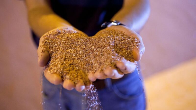 Empresa de fertilizante brasileira entra com pedido de IPO na Bolsa de Nova York