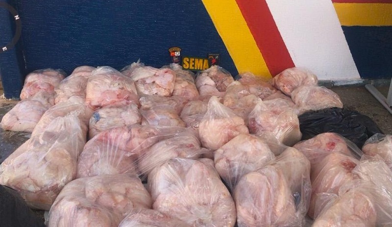 CRIME AMBIENTAL: Sema e PM multam dupla em R$ 294 mil por caça de mais de 500 kg de carne de jacaré