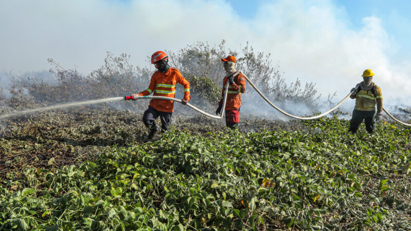 Corpo de Bombeiros extingue três incêndios e combate outros 19 em MT neste domingo (4)