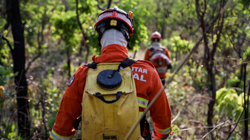 Corpo de Bombeiros combate 20 incêndios florestais em Mato Grosso neste sábado (10)