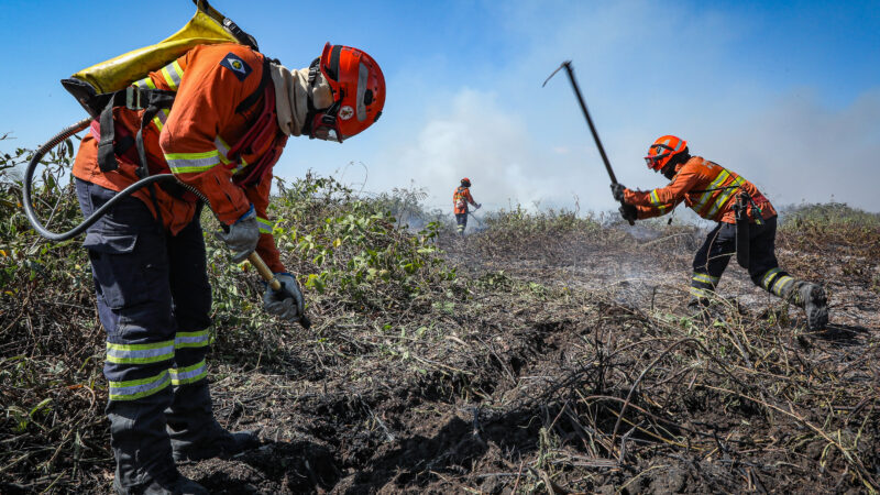 Corpo de Bombeiros alerta para estiagem severa e pede apoio da população na prevenção de incêndios florestais