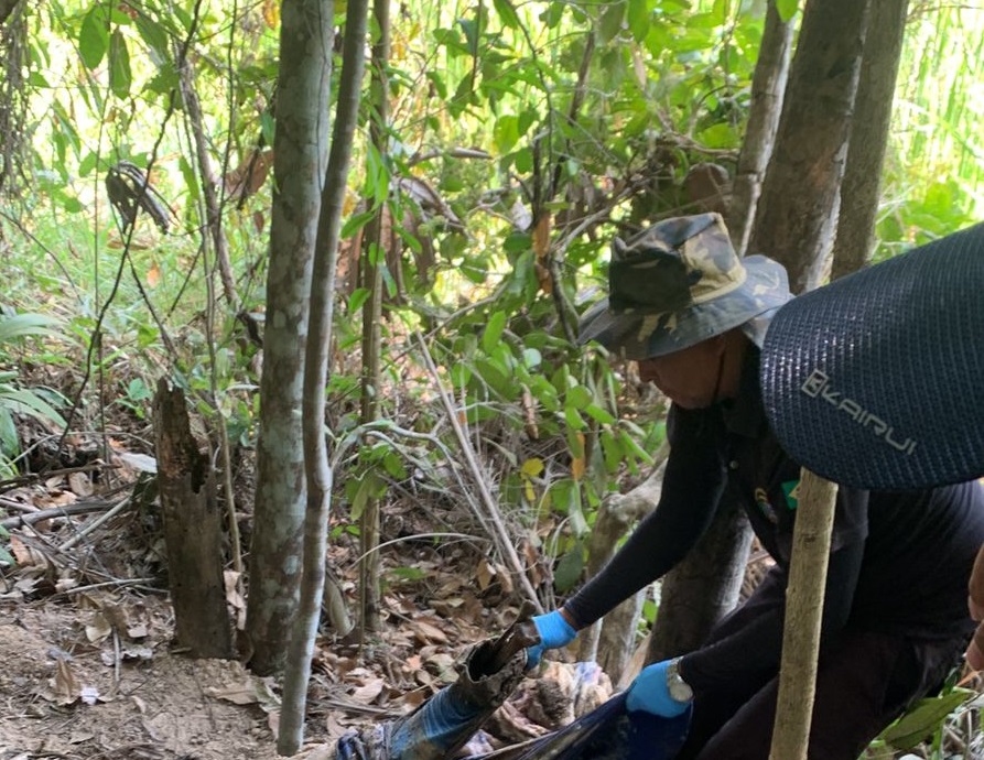 Mulher envolvida em homicídio e ocultação de cadáver em Juína é presa pela Polícia Civil