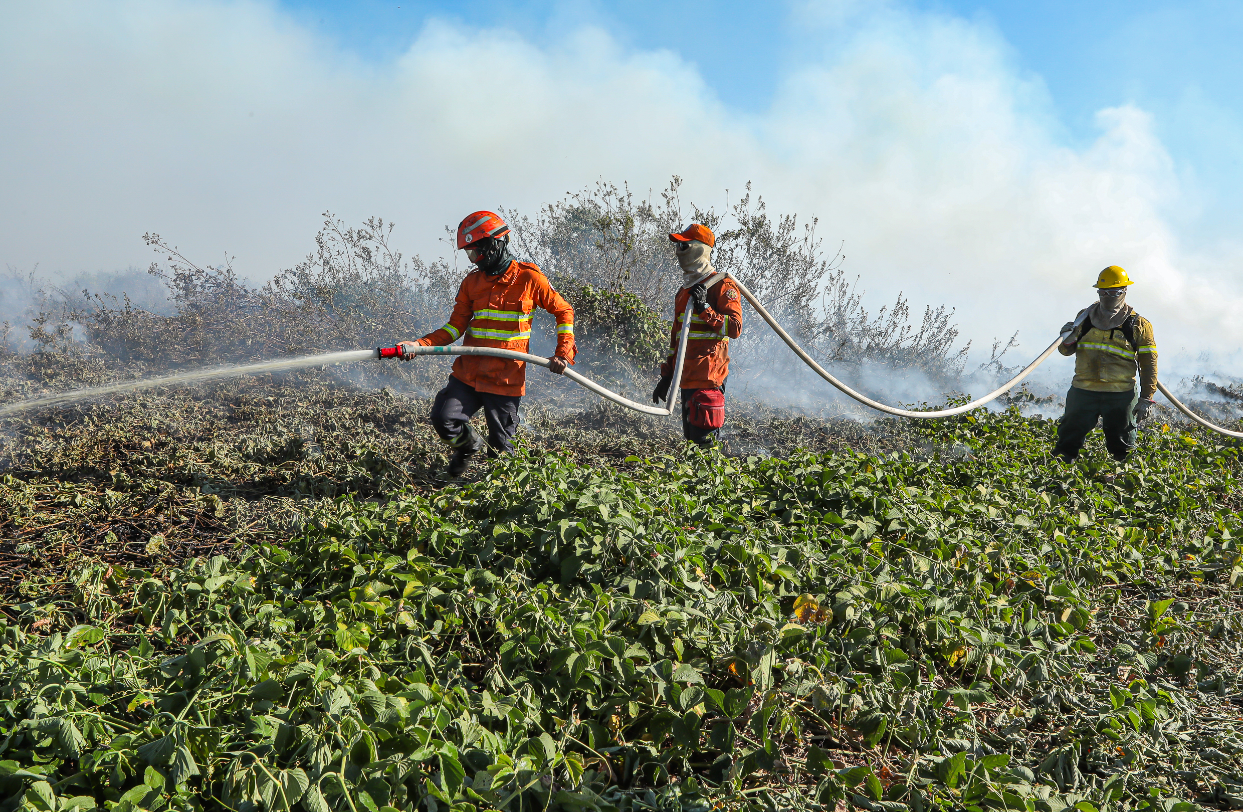 Bombeiros de MT extinguem três incêndios e combatem outros 48 nesta segunda-feira (23)