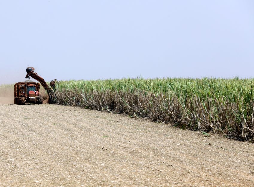 Ministro da Agricultura Carlos Favaro fala sobre papel do Brasil na produção de biocombustíveis – Jornal Advogado – Em Mato Grosso