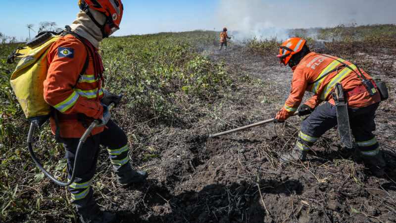 Corpo de Bombeiros combatem 13 incêndios florestais em Mato Grosso nesta sexta-feira (25)