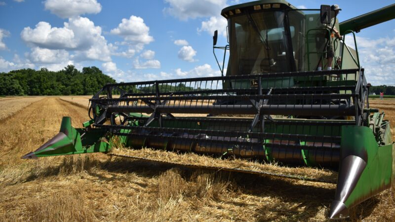 SLC Agrícola tem prejuízo de R$17,3 mi no 3º tri após lucro um ano antes