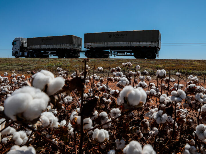 Exportações de MT alcançam 157 países e geram US$ 25,95 bilhões em 2024