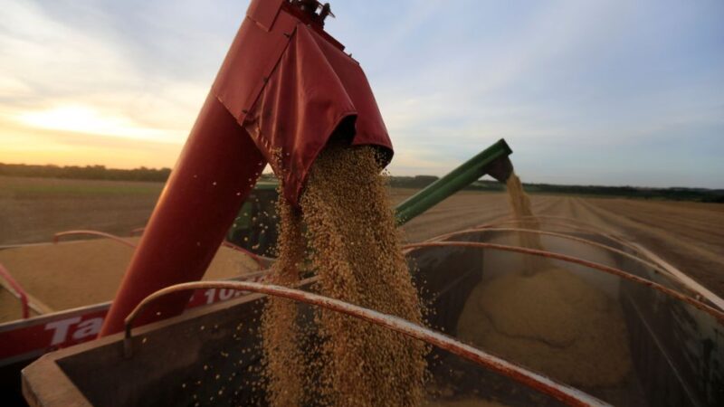 Valor da produção agropecuária deve ter aumento de 7,4% em 2025, diz CNA