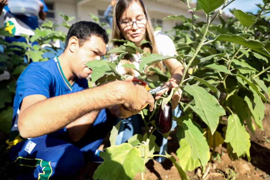 Projeto contempla 300 unidades estaduais em 2025; veja quais são