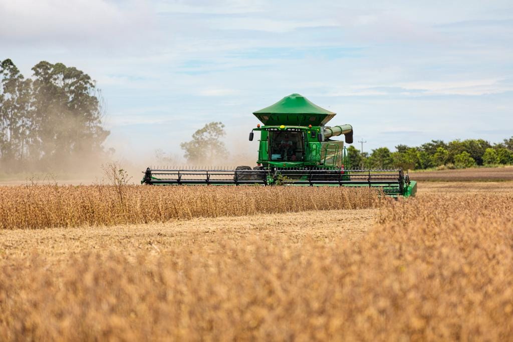 Mato Grosso consolida protagonismo na produção mundial de grãos e fibras