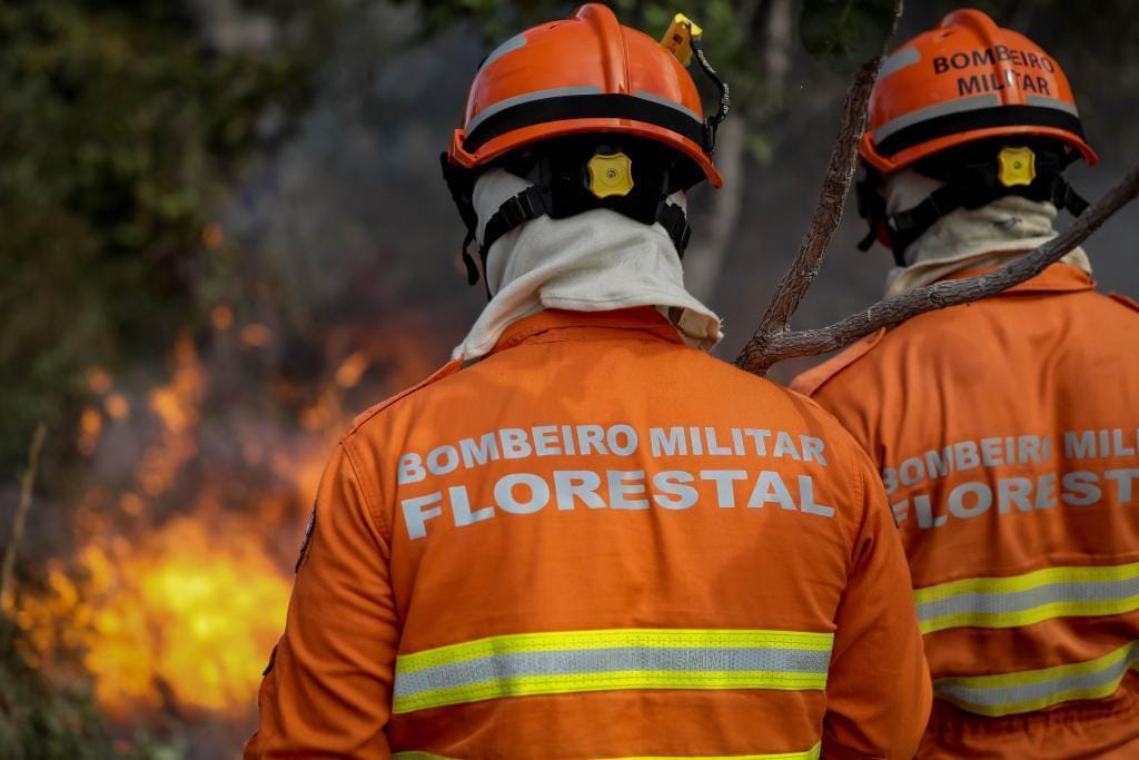 Uso do fogo em área do Pantanal está proibido a partir deste domingo (1º)
