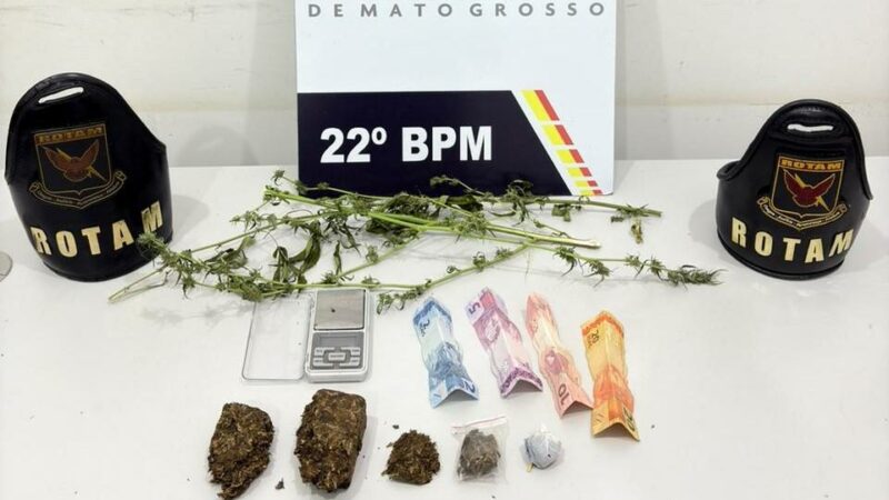 Rotam prende faccionado com porções de maconha e mudas de cannabis