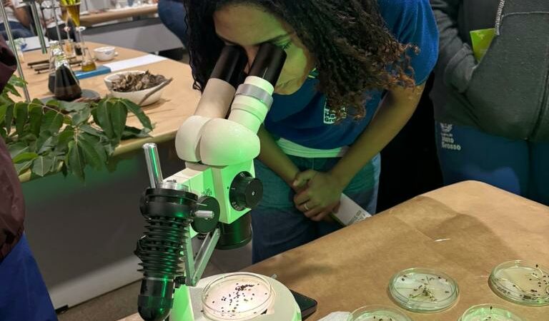 Feira de ciências na Escola Ferreira Mendes destaca protagonismo feminino e pesquisa em bioherbicidas