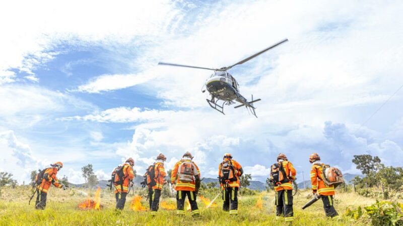 Corpo de Bombeiros combate 21 incêndios florestais nesta sexta-feira (24)