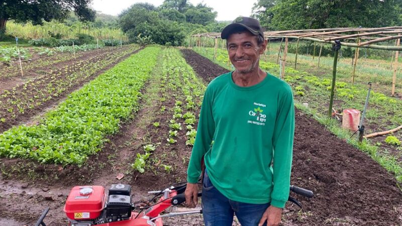 Com apoio da Seaf e ajuda da família, agricultor de Barra do Garças mecaniza produção e amplia colheita de hortaliças