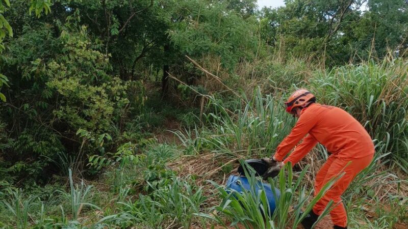Corpo de Bombeiros é acionado para resgatar cobra caninana que entrou em residência