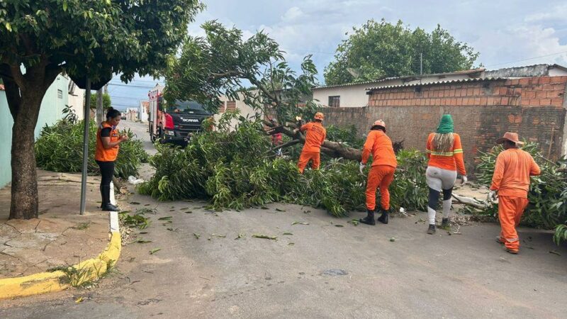 Corpo de Bombeiros atendeu diversas ocorrências de queda de árvores nesta segunda-feira (17)