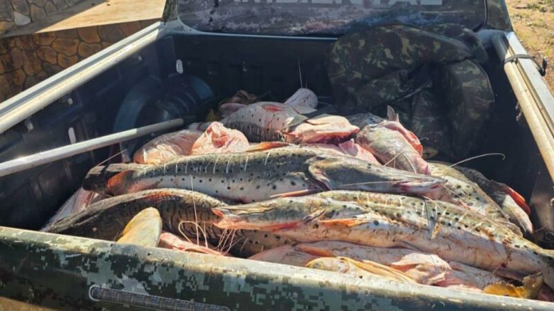 Polícia Militar apreende mais de 1 tonelada de pescado irregular em Rondonópolis