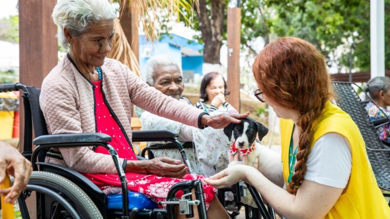 Cuiabá avança na causa animal e políticas de adoção responsável