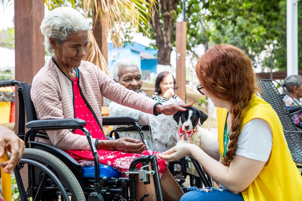 Cuiabá avança na causa animal e políticas de adoção responsável