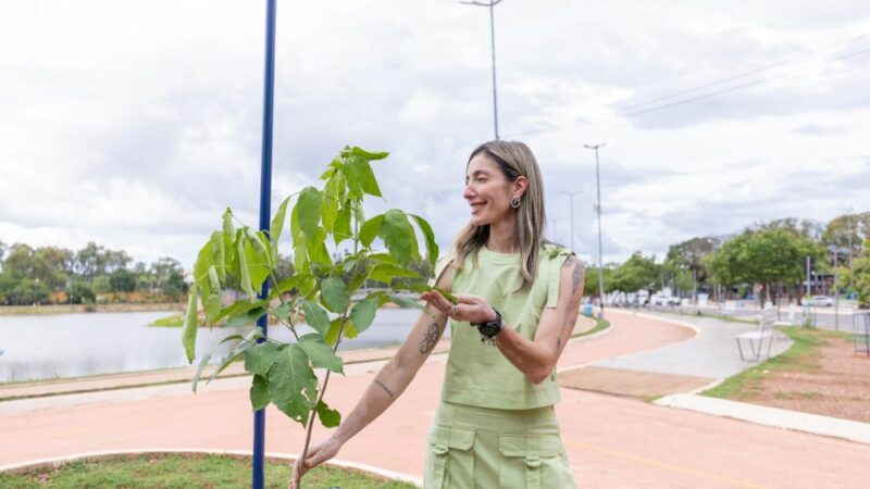 Parque Tia Nair lança projeto de rearborização e mobiliza comunidade