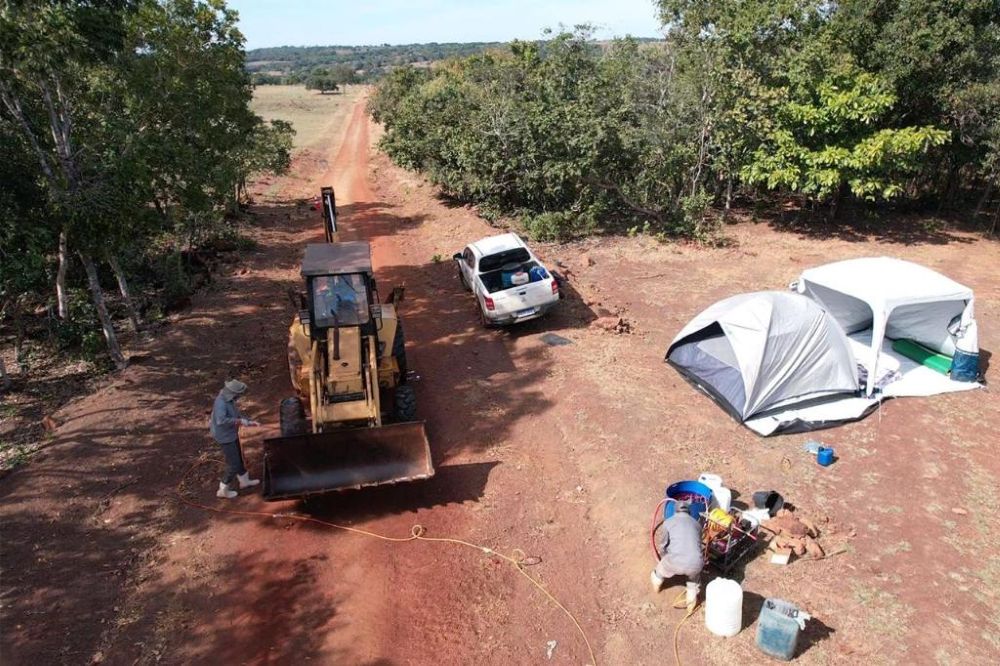 Mapa confirma caso de gripe aviária em Cuiabá; Indea adota medidas para conter foco
