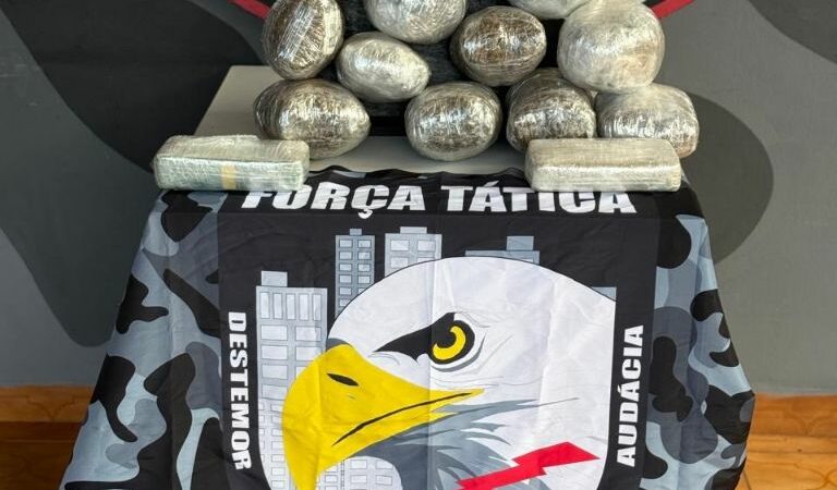 Força Tática apreende oito quilos de entorpecentes com passageiro em ônibus interestadual em General Carneiro