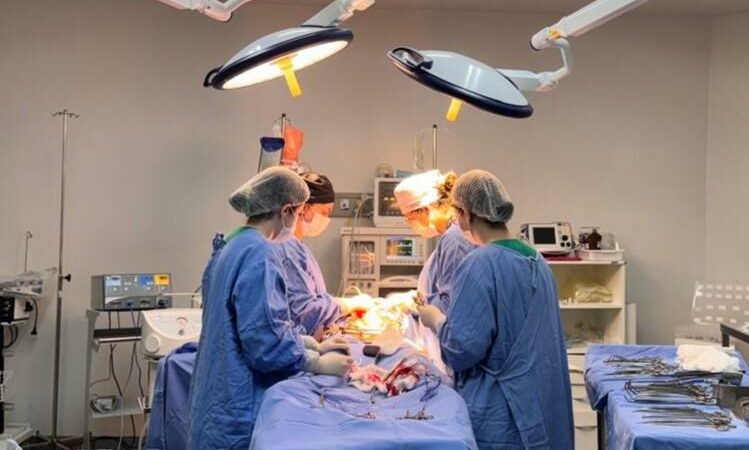 Mato Grosso amplia atendimentos e registra avanços na realização de transplantes de órgãos