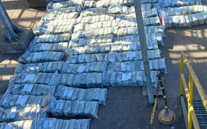 Polícia Civil incinera mais de 1 tonelada de supermaconha em Alto Araguaia