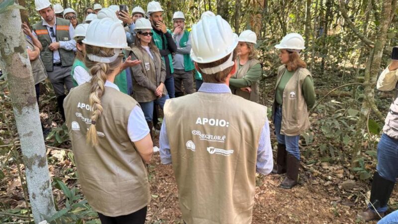 MERSÃO NA FLORESTA: Sema monitora mais de 400 planos de manejo em execução no estado de Mato Grosso