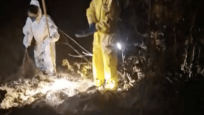 Adolescente sequestrada em Lucas do Rio Verde é encontrada morta