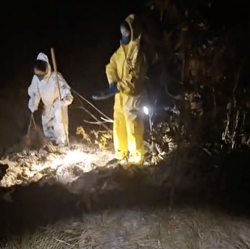 Adolescente sequestrada em Lucas do Rio Verde é encontrada morta