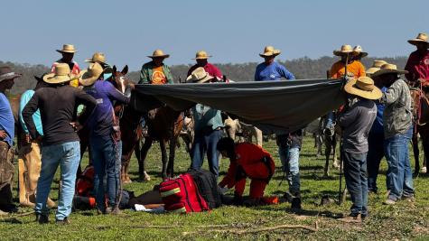 Homem é resgatado por helicóptero após queda de cavalo no Pantanal