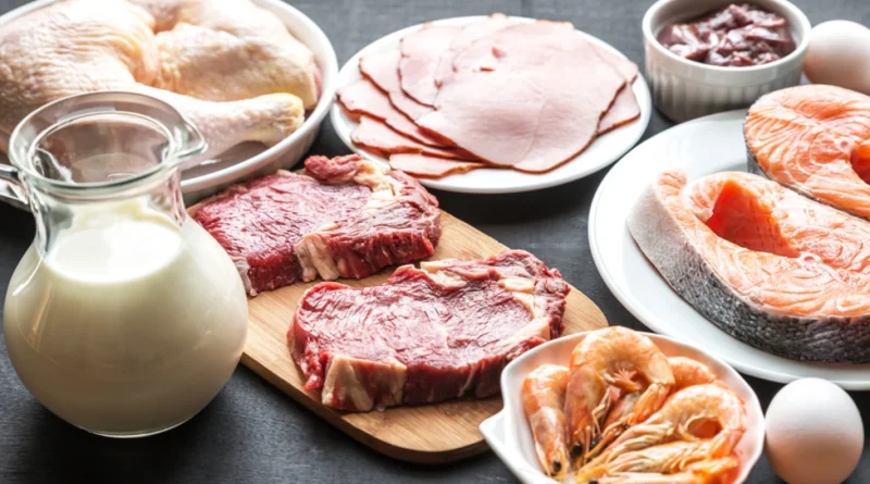 Consumo Excessivo de Proteínas Faz Mal a Saúde