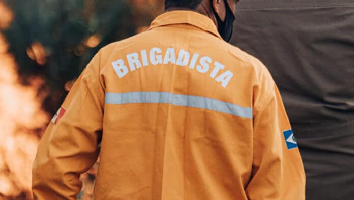 Incêndio que quase atingiu residências em Alta Floresta é controlado por brigadistas