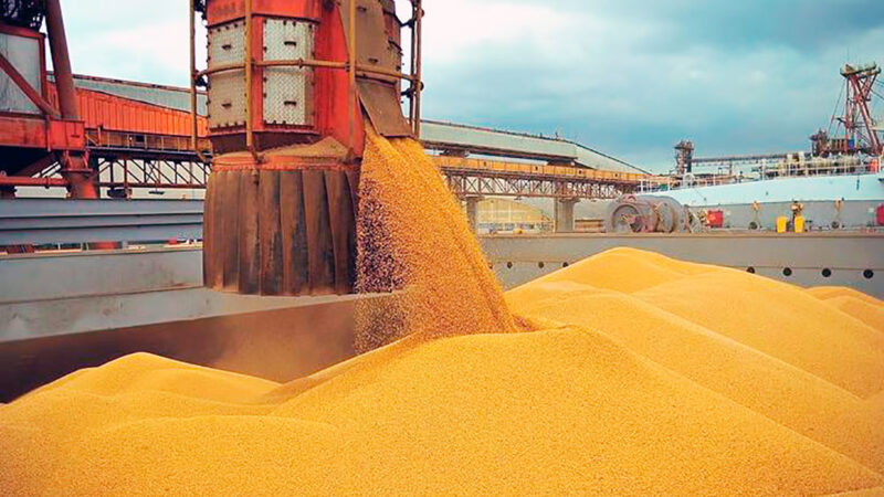 Exportações de Sinop caem 15,1% em setembro; Egito lidera compras